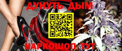 прущие грибы Усть-Илимск